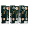 Jeena Sikho Dant Shuddhi Paste Herbal Toothpaste Pack Of 3 Teeth Gums Plaque Care Fresh Breath Whole Mouth 100 G
