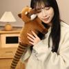 53cm South American Raccoon Doll Simulated Long Tailed Raccoon Plush Toy Birthday and Christmas Gifts ideal for Children