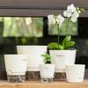 Yousheng Flowerpot with Open Water Pour Port Easy Maintenance Self-Absorbing Double-Layer Water System Thickened Transparent Water Storage