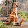Handmad Kangaroo Action Figures Statue Simulated Wild Kangaroo Figurines  Children Toys
