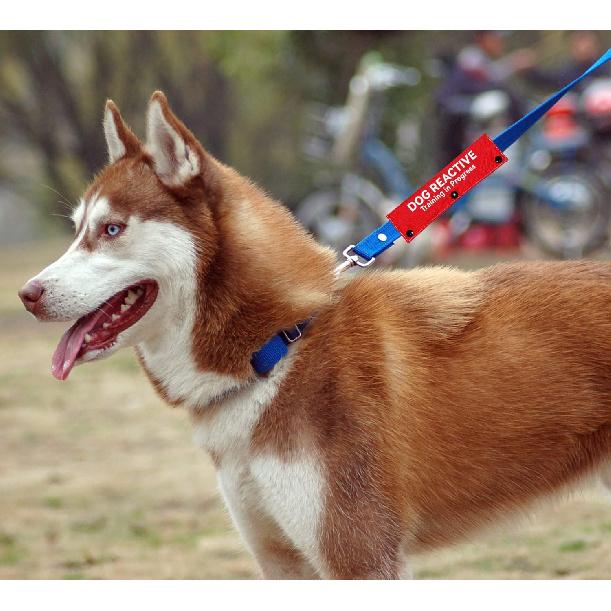 Advivio Dog Reactive Training In Progress Funny Red Dog Leash Sleeve, Wrap Alert Hanging ID Patch Tag for Pet Dog The Best Choice for Daily Walking