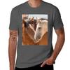 Wild Horses In Natural Area Tshirt Trend Art Print Tshirt