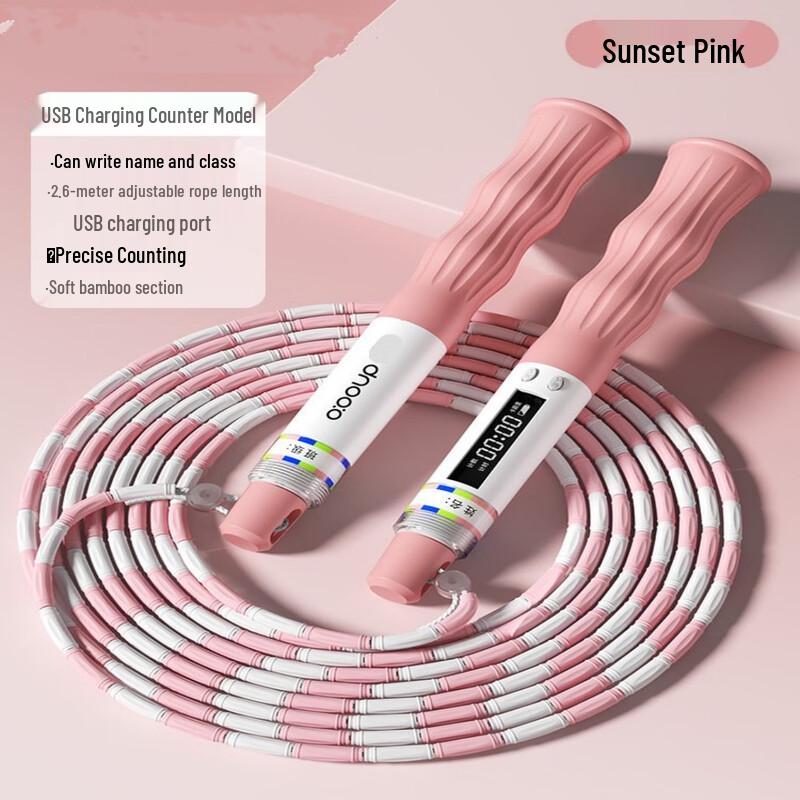 Professional Counting Segmented Skipping Rope for Kids