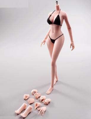 Legetøj Hobby skala actionfigur ANT YCL001 Simpel hudmakeup malet version Super fleksibel sømløs krop Ingen tøj Kvinde krop perlehvid