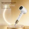 Smart Temperature Control High-Speed Hair Dryer for Home, Hotel, and Salon - High Power & Hair Protection