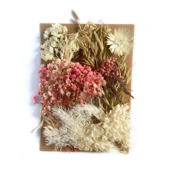 Nützliche Trockenblumendekoration, auffällige, leicht zu pflegende helle Farbe