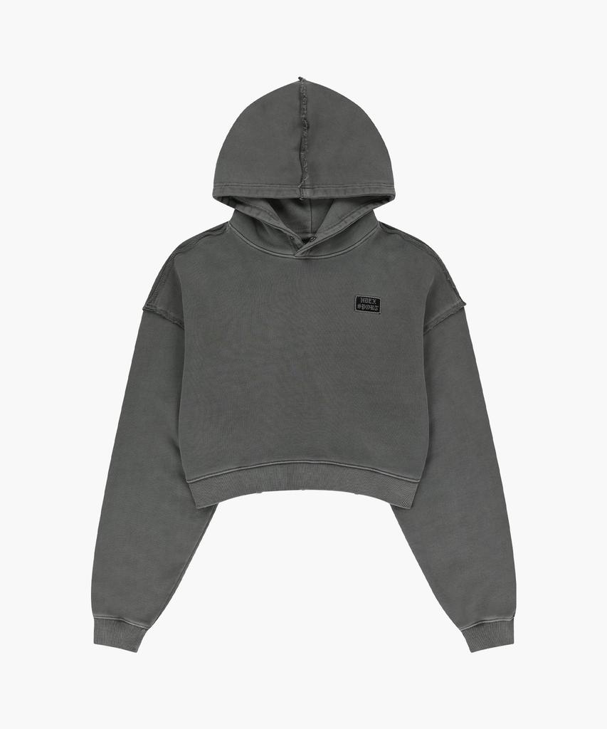 Women'S Big Hoodie Damaged Pigment Crop Hoodie (Pigment Gray)