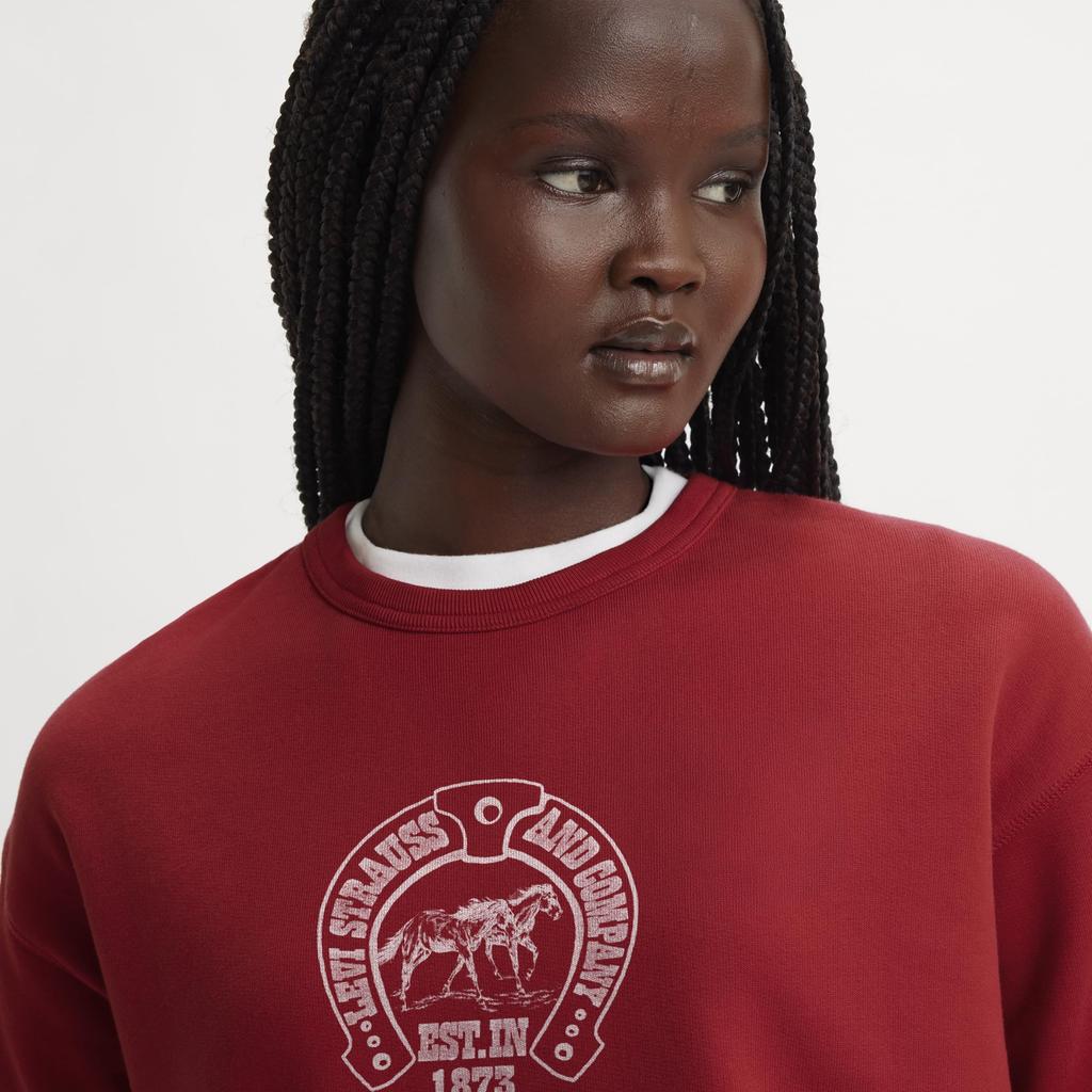 Levi's SIGNATURE Graphic Crew Neck Long Sleeve A7288-0062 L