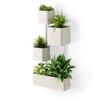 Official Umbra Interior CUBIKO Wall-Mounted Planter, Beige, Decor, Houseplants,