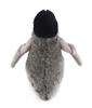 Seria Zwierzęta Morskie Mały Pingwin Ciemnoszary Pluszowa Zabawka