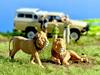 TOMYTEC GeoColle 64 CarSnap 32a Safari 4 Nissan King Cab Truck Animal Figure Set 1/64 336693