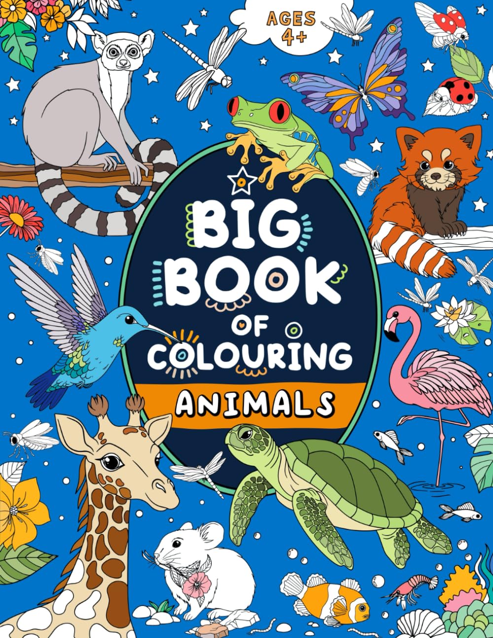 Big Book of Colouring: For Children Ages 4+