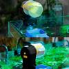 Programmable Automatic Fish Feeder for Aquarium Adjustable Feeding Times for Turtle Fish and Betta Tank Convenience