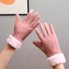 Winter Women'S Warm Gloves Have Windproof And Cold Resistant Properties, Thick Fur Lining, And Touch Screen Gloves
