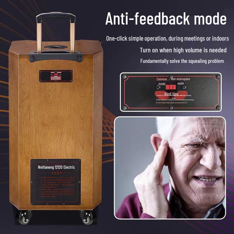 MALONE M-8510L Portable Karaoke Speaker with Dual Microphones CN plug (adapter included)