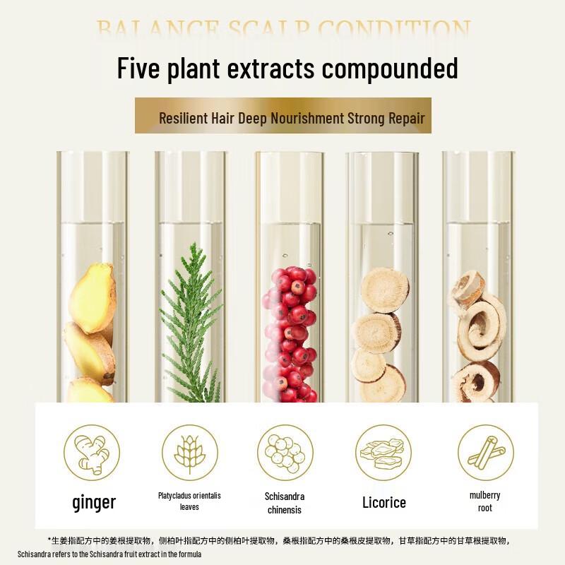 Ziyuan Ginger & Arborvitae Root Strengthening Conditioner