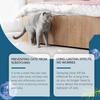 Cats Deterrents Spray Indoor Anti-Scratch Spray Training Aid No Scratch Spray 100ml for Carpet Furniture Drapes Fabric