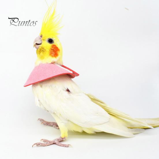 Adjustable Parrot Recovery Collar Anti-Biting Injury Protection Fastener Tape Fixing Bird Collar Pet Bird