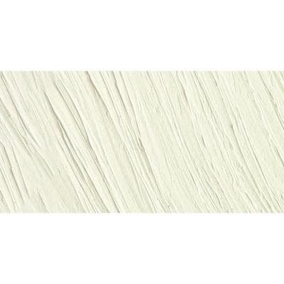 Williamsburg Oil Color 37ml Titanium White
