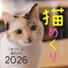 Cat Calendar 2026 Daily Calendar CK-C26-01