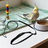 Bird Flight Harness Adjustable Parrot for and Leash Training Parakeets Conure Birds 1