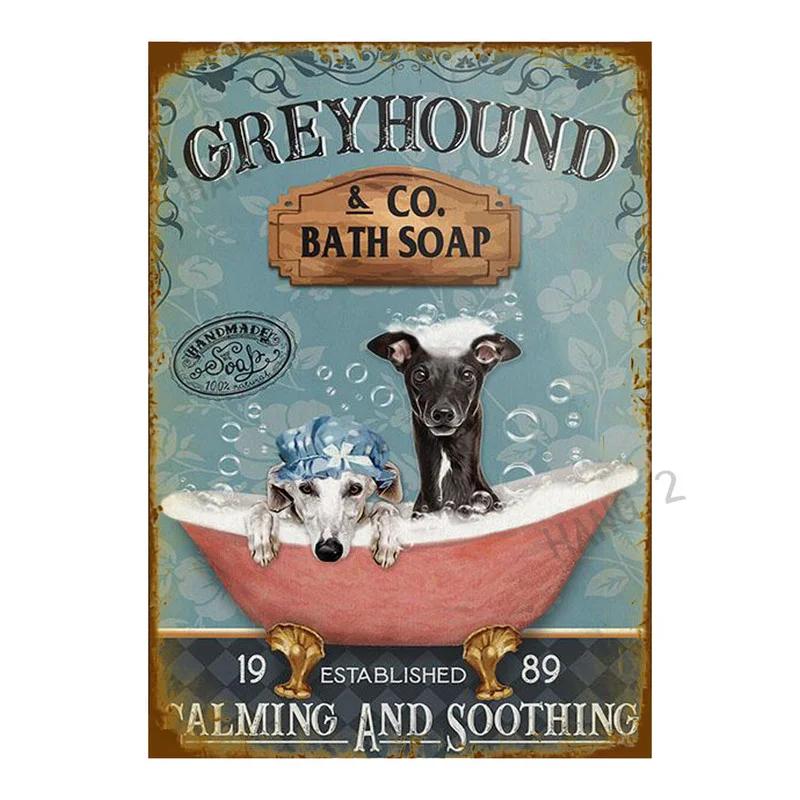 Schilder Blech Metall Poster Du hast gelächelt und ich habe mich verliebt Greyhound Hängeschilder für Zuhause Dekorative Plakette 8X12 oder 12x16 Zoll