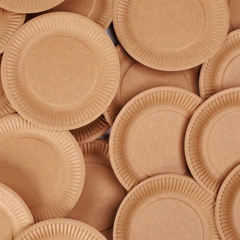Disposable Kraft Paper Plate