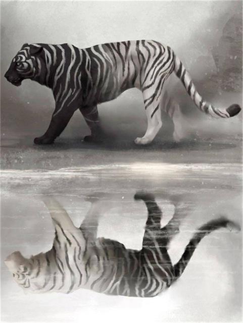 Broderie cu diamante 5D cu punct de cruce Wolf Diamond Art Painting Mozaic alb-negru Cadou lucrat manual