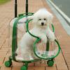 Transparent Space Capsule Pet Outing Bag - Portable Cat and Dog Backpack, Large-capacity Travel Pet Suitcase