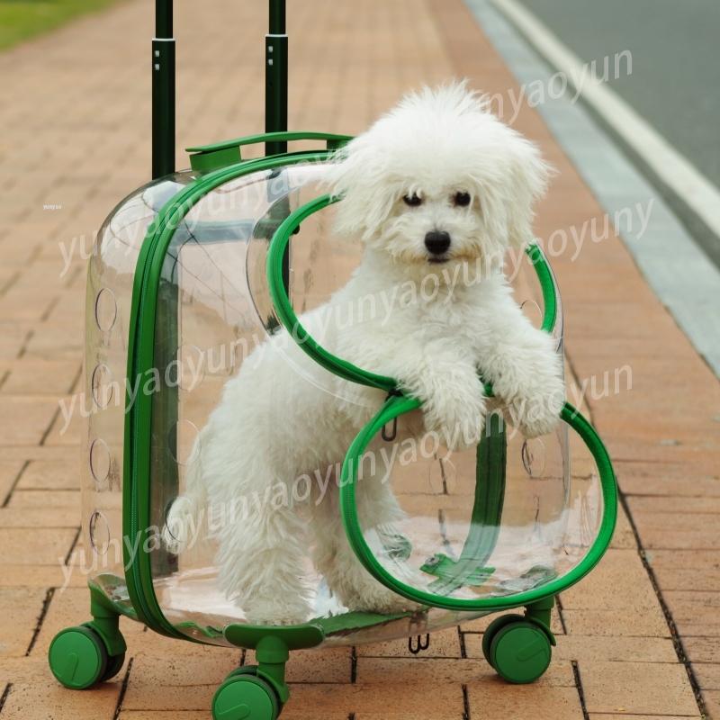 Transparent Space Capsule Pet Outing Bag - Portable Cat and Dog Backpack, Large-capacity Travel Pet Suitcase
