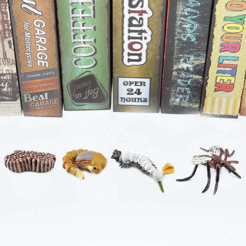Montessori Plant & Animal Life Cycle Educational Toy Set for Early Learning