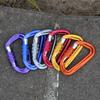 D-shaped Safety Auto Lock Buckle 12KN Professional Carabiner Hammock Hook  Hiking