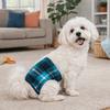 Leak Proof Dog Diapers Adjustable Dogs Safety Pants Reusable Puppy Shorts Male Dogs