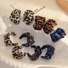 Autumn And Winter Leopard Print C-Shaped Atmospheric Pleated Earrings Women'S, Hong Kong Style Light Luxury Maillard Fashion Temperament Earrings