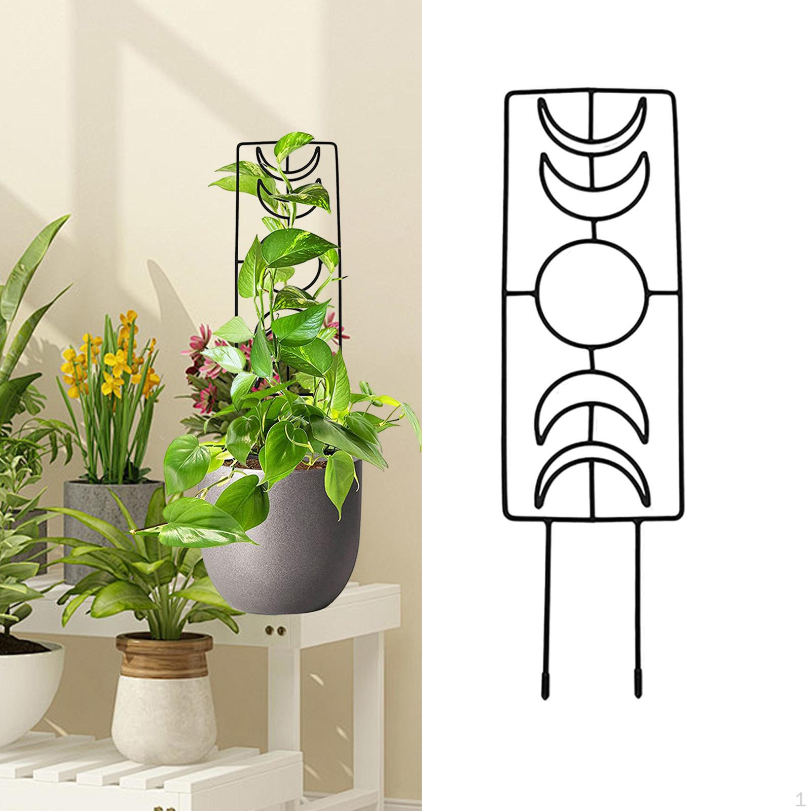Trellis for Potted Climbing Plant,Garden Plant Support Plant,Indoor