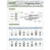 Compact Trumpet Fingering and Chord Chart Diagram