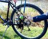 InMotion Bike Fisherman Bike Držák na rybářské pruty Bezpečně drží rybářské pruty na vašem kole Snadno montovatelný nosič prutů na kolo