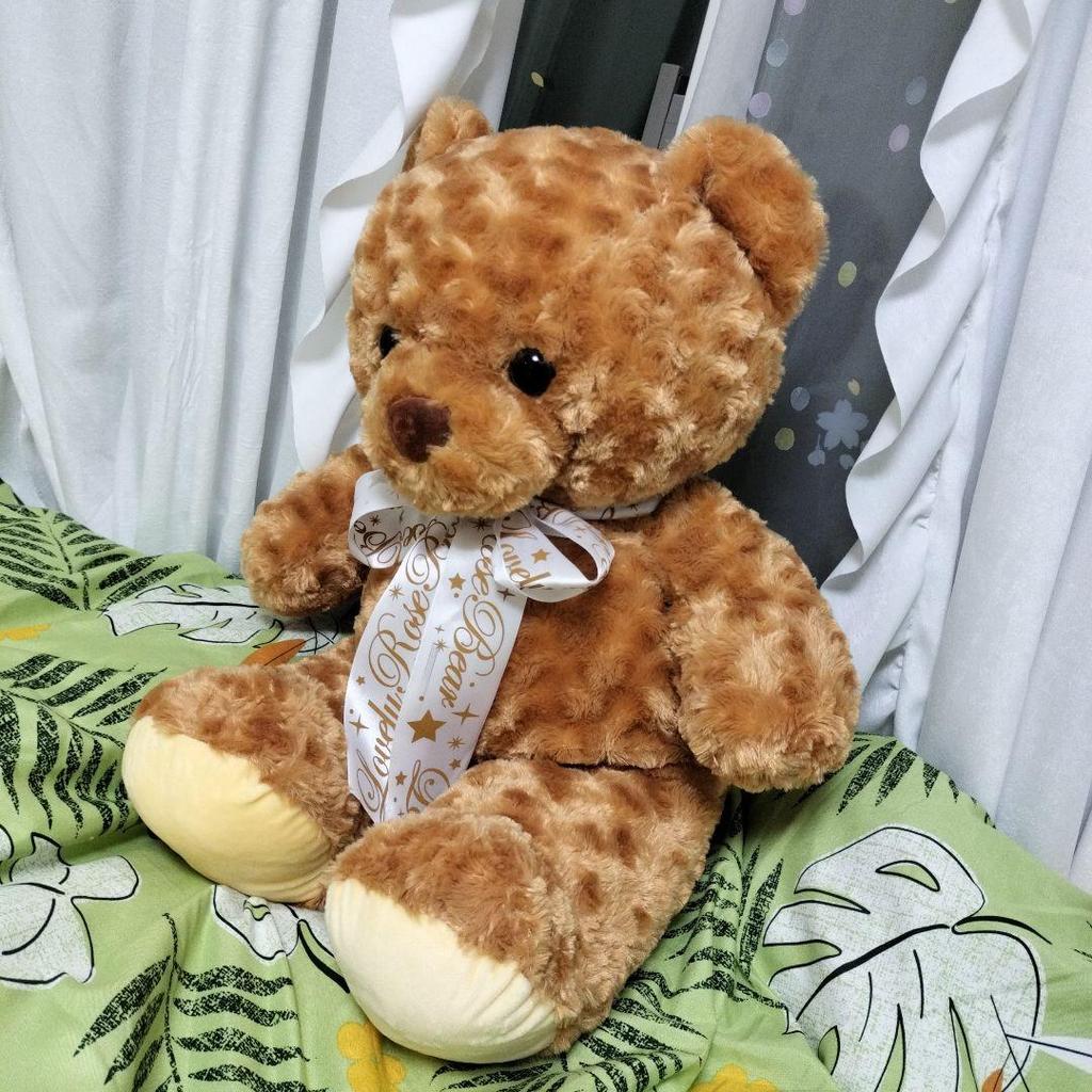[USED] Teddy Bear About 60cm