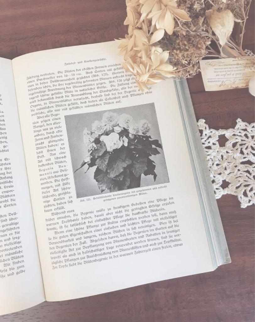 [USED] Antique books