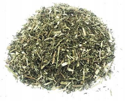 Annual Mugwood Herb 500 G 100%