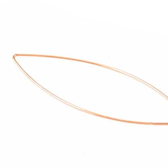1 Pair Fish Shape Elegant Solid Color All-match Dangler Earring