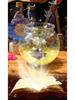 Mr. Toy Little Magician Science DIY Kit for Kids & Parents
