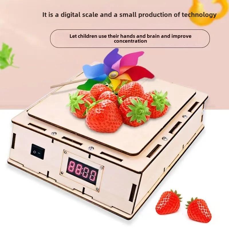 Wooden Electric Digital Scale Model Kids Science Toy Technology Physics DIY Bricks Kit Learning Toys for Children
