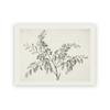 Vintage Rustic Tree Sketch Drawing Art Prints Farmhouse Country Painting Wall Art Canvas Pictures Botanical Poster Home Decor