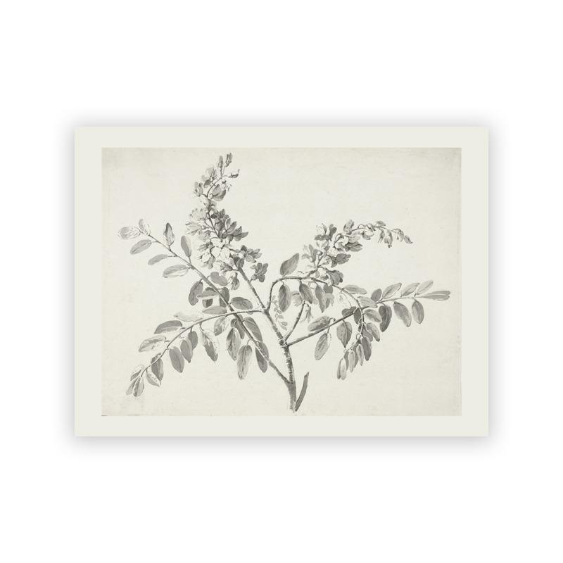 Vintage Rustic Tree Sketch Drawing Art Prints Farmhouse Country Painting Wall Art Canvas Pictures Botanical Poster Home Decor