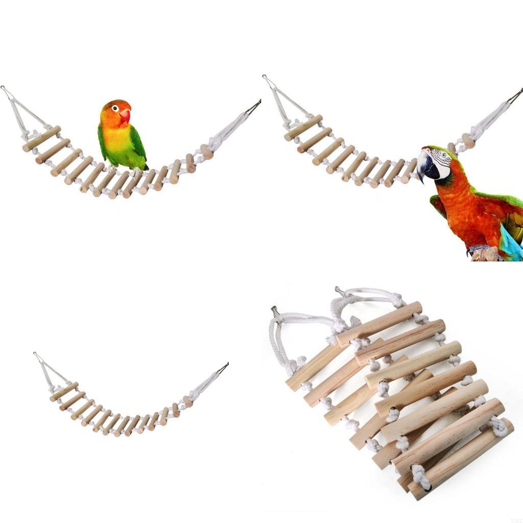 

Parrot Rope Ladder Swing Perch for Small Birds 17.7 Natural Bridge with Metal Hooks for Conure Parakeet X3UC China Mainland