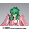 Saint Seiya: Myth Cloth Andromeda Shun (Early Bronze Cloth) 20th Anniversary Ver.