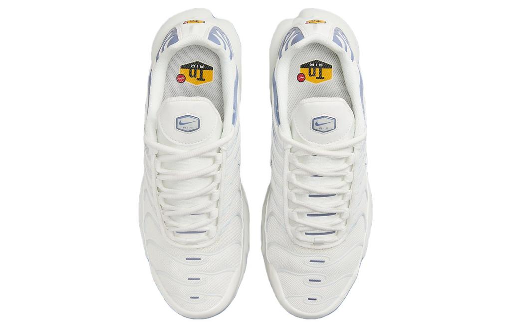Nike Air Max Plus Ashen Slate Women's DZ3671-104