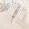 Thickened Plush Warm Suede Gloves Plus Velvet Lining Windproof Riding Gloves  Cycling & Driving