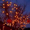 Solar Persimmon and Apple Decorative String Lights